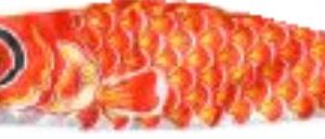 Manga de Viento Pescado